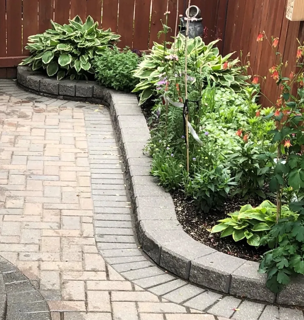 Decorative curved stone path surrounding landscape vegetation