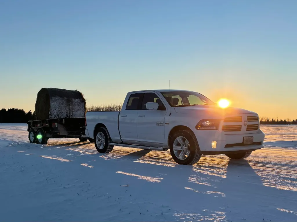 Pickup hauling hay in the snow at sunset